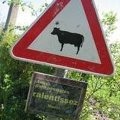 alpagueur dotbe