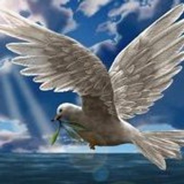 ♥♪lazrague♥♪