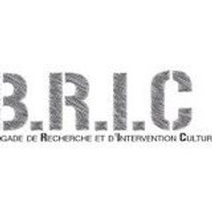 BRIC_Projections