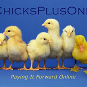 Chicks Plusone