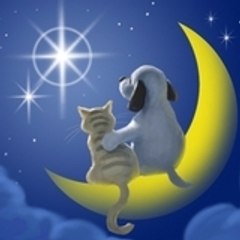 simon simon.drouard@sfr.fr