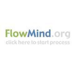 FlowMind Org