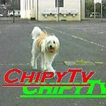 Chipy Tv