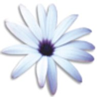 Equilibre Communication