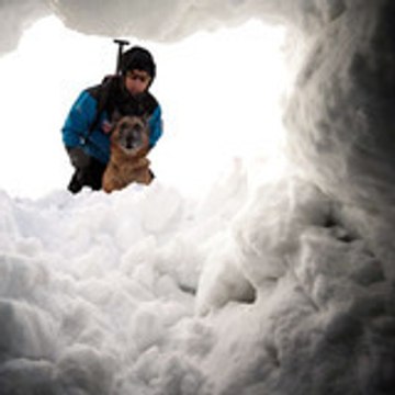 Sandra Chenu Godefroy