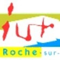 DUT Infocom La Roche sur Yon