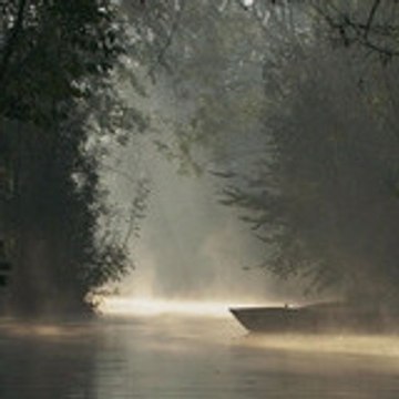 Les Marais Criminels