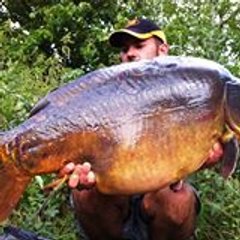 sauvage71