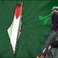 mujaedine
