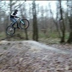 florian dzf