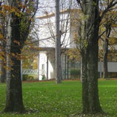 Lycée-Collège Claude Bernard (69400)