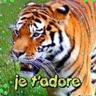 Angélique Montrichard