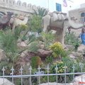 TUNISIANA