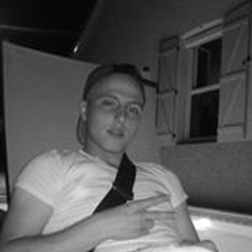 david