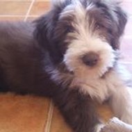 Marie-jo lesbaches marie-jo