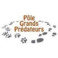 PoleGrandsPredateurs