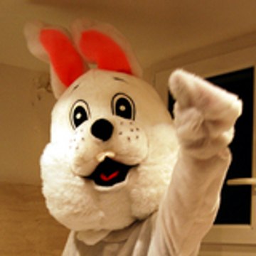 Roger Le Lapin