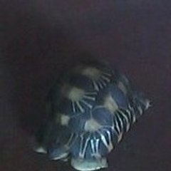 Andry Mafra