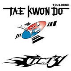tae kwondo