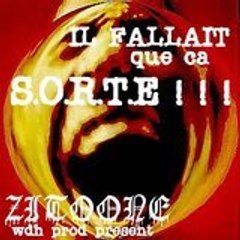 ZITOONEwdh