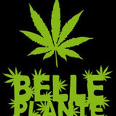 belle_plante