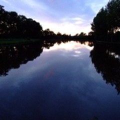 Etang De_longchamp