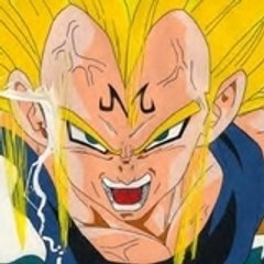 vegeta4