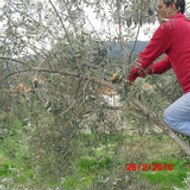 Dalaman Gıda Tarım Muğla