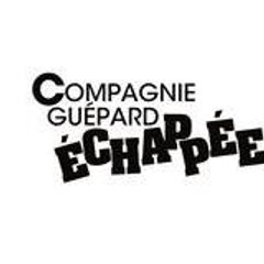 guepard  echappee