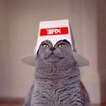 Francoisxavier donguy