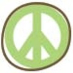 peacepaint360