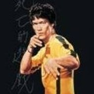 Bruceleeste Bruceleeste