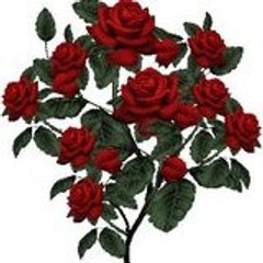 Abdulhamid Han