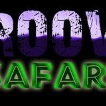GrooveSafari