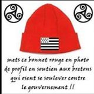 nolwenn