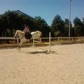 Mouchou15
