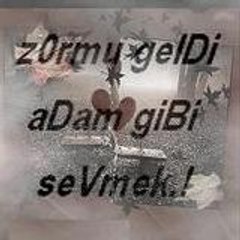 nur_simam