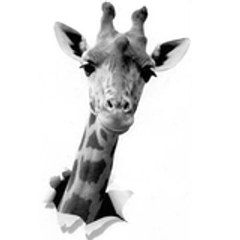 France Lefebvre du Prey