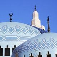 AliMot69