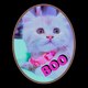 BOO ' THE CAT DIARY '