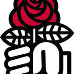 PARTI SOCIALISTE SECTION PERPIGNAN