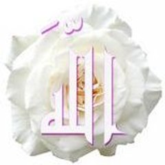 lelamimi