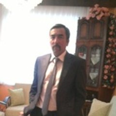 erden tatar