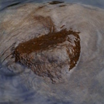 Taranaka