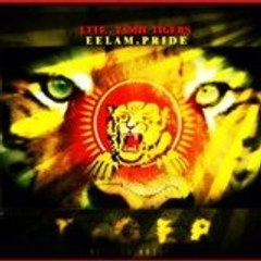 eelam2009