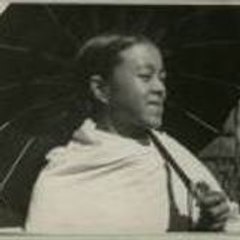 dominetta