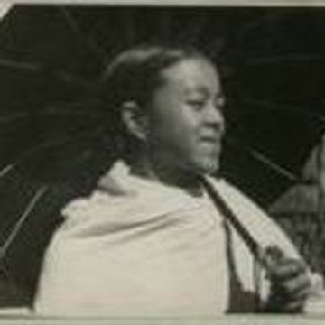 dominetta