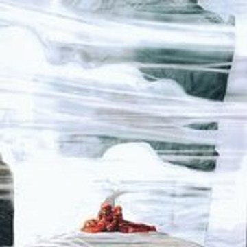 thenoskilled thegoodskilled