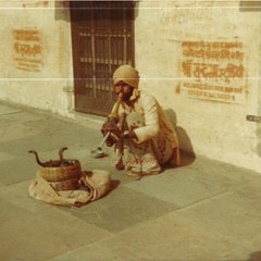 pat shanti