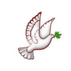 Cannabis Sans Frontières